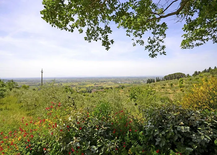 Il Palazzone كورتونا